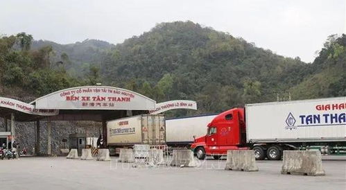 越南春节经济活跃 企业货物进出口助力区域贸易回暖